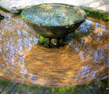 Fountain in Partial Shade Inhibits Algae Growth Better than iWhen in Direct Sun