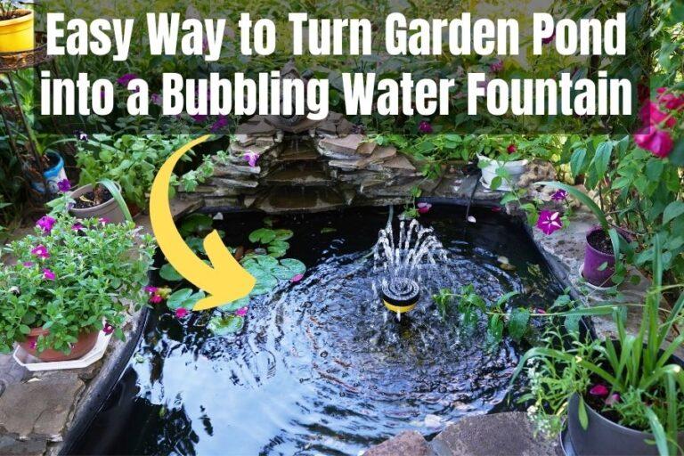 Solar Fountain For Pond: Create a Tranquil Oasis in 5 Minutes